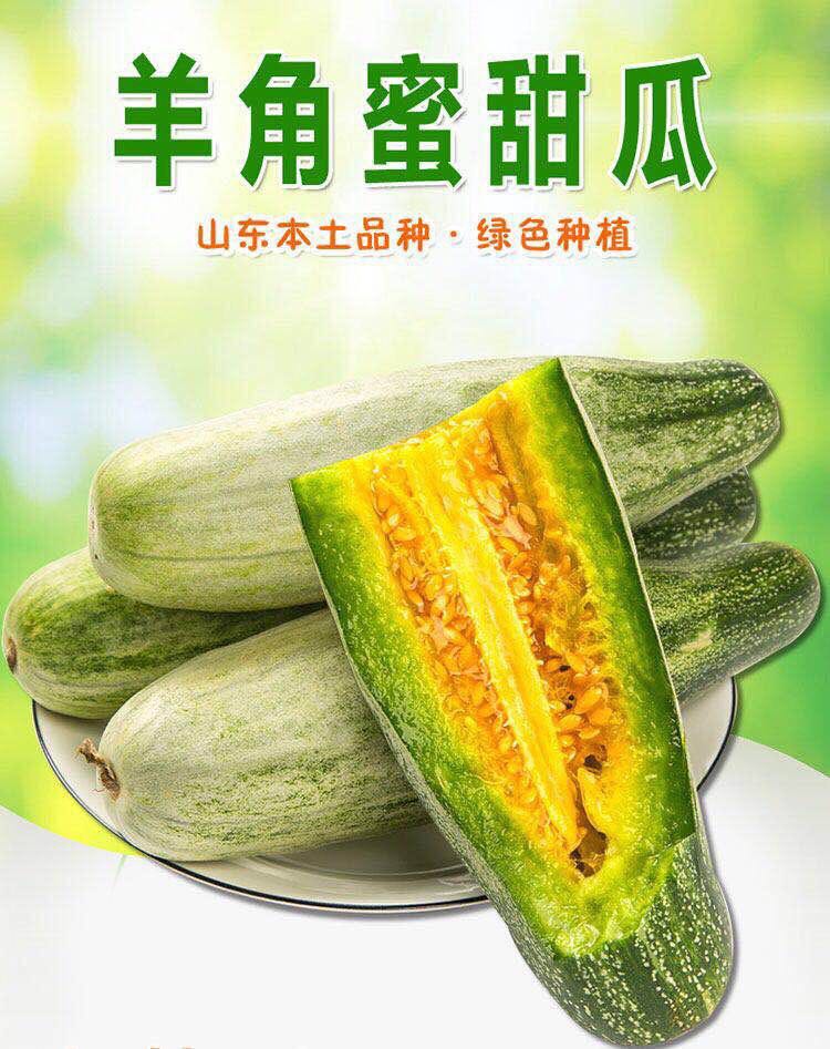 现货山东博洋蜜瓜 羊角蜜甜瓜当季孕妇新鲜水果5/3斤装