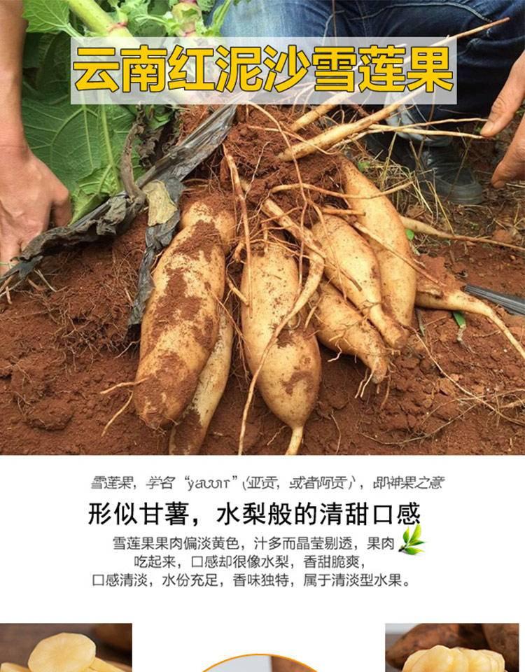 云南高原天山雪莲果5斤10斤