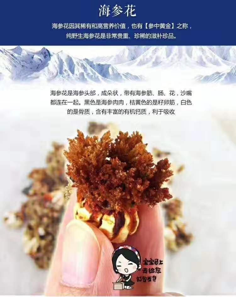 海参花