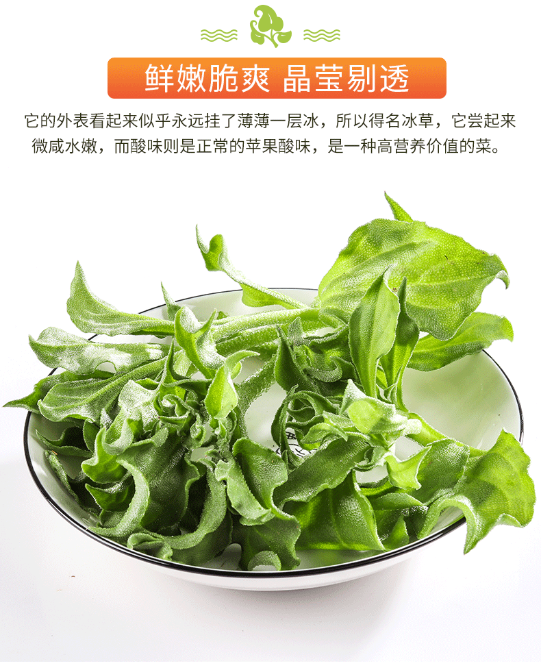 冰草蔬菜新鲜非洲冰菜叶菜火锅即食生吃沙拉农家冰叶冰花3斤包邮