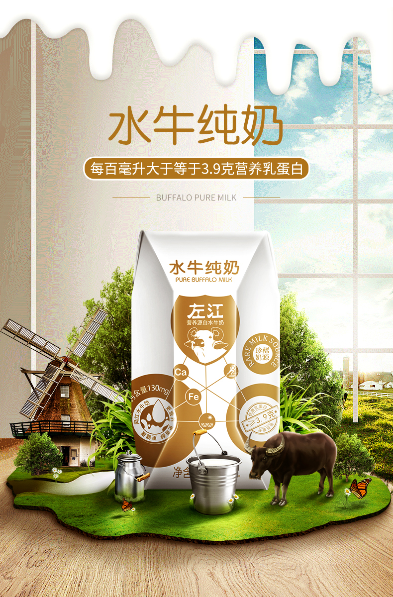广西左江水牛奶 纯牛奶200ml*10盒 纯奶
