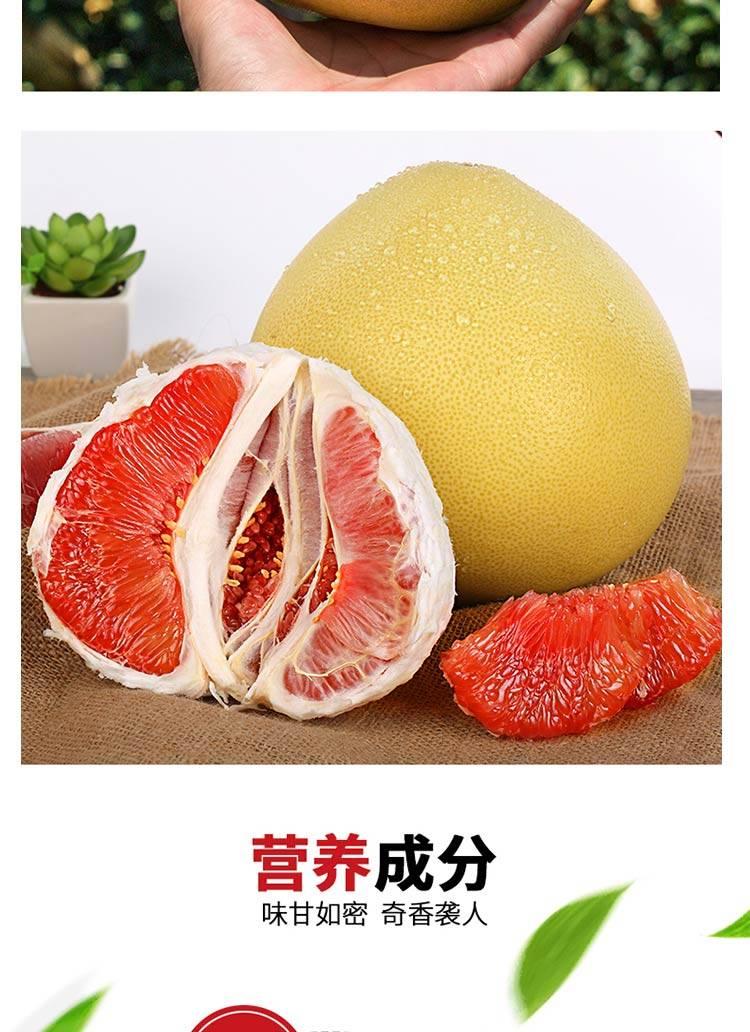精品福建琯溪红心/白心蜜柚子10斤新鲜水果柚子多规格可选