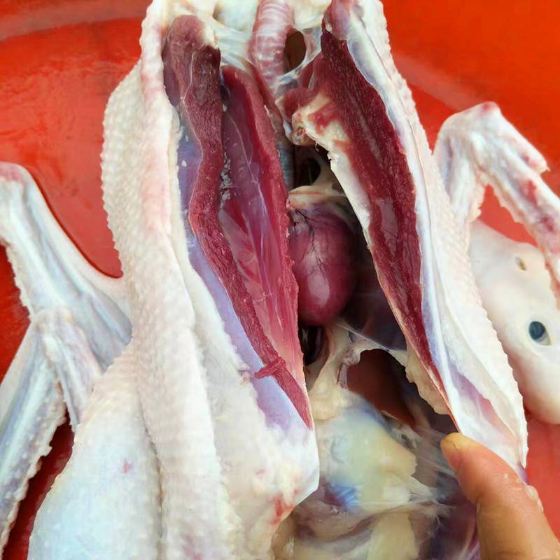 【大鹅肉5-8斤】土鹅蛋 活体大鹅 卤味大鹅农家散养现杀冷冻包邮-销巴