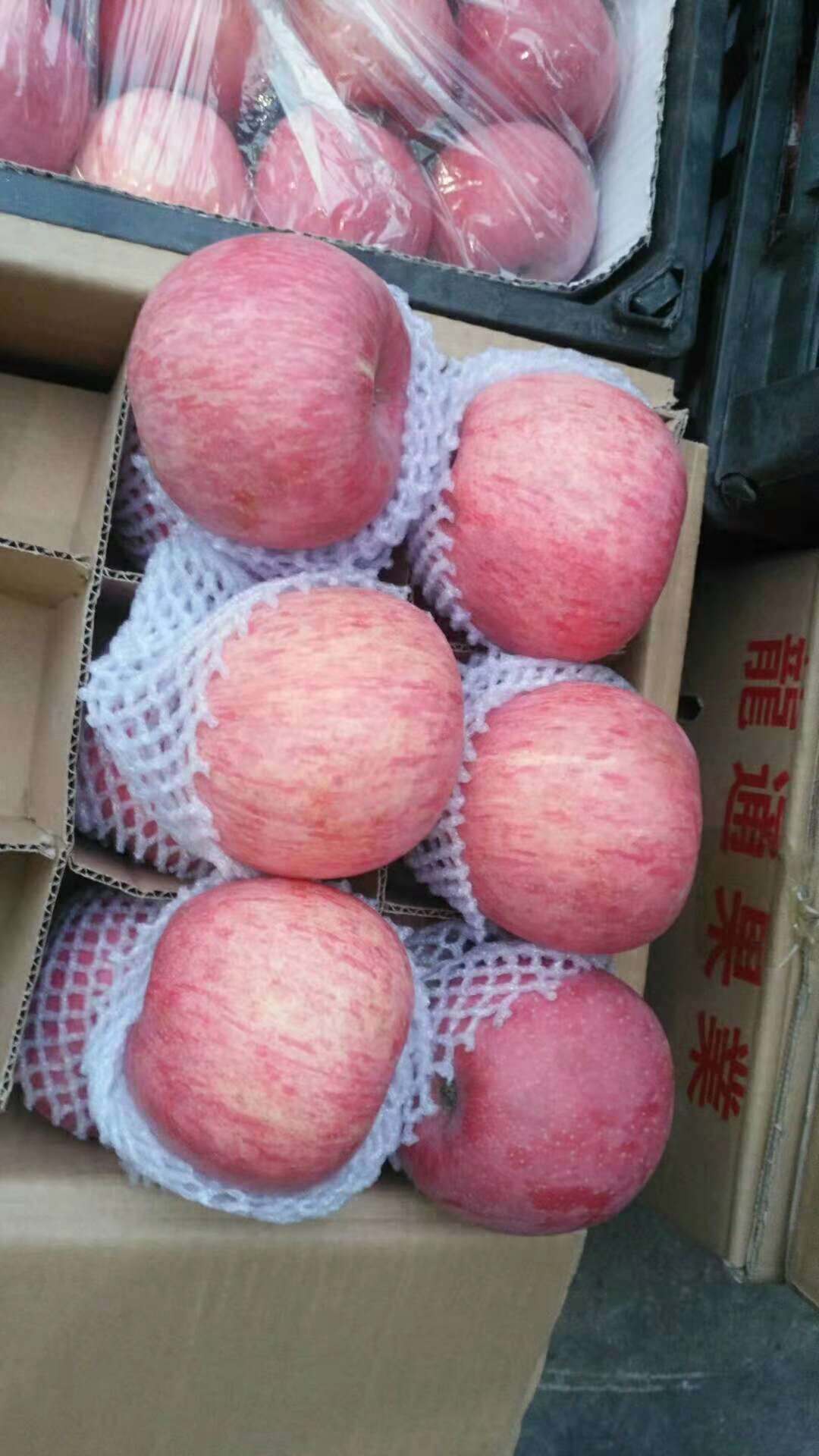 陕西洛川苹果85#苹果,14斤,24枚