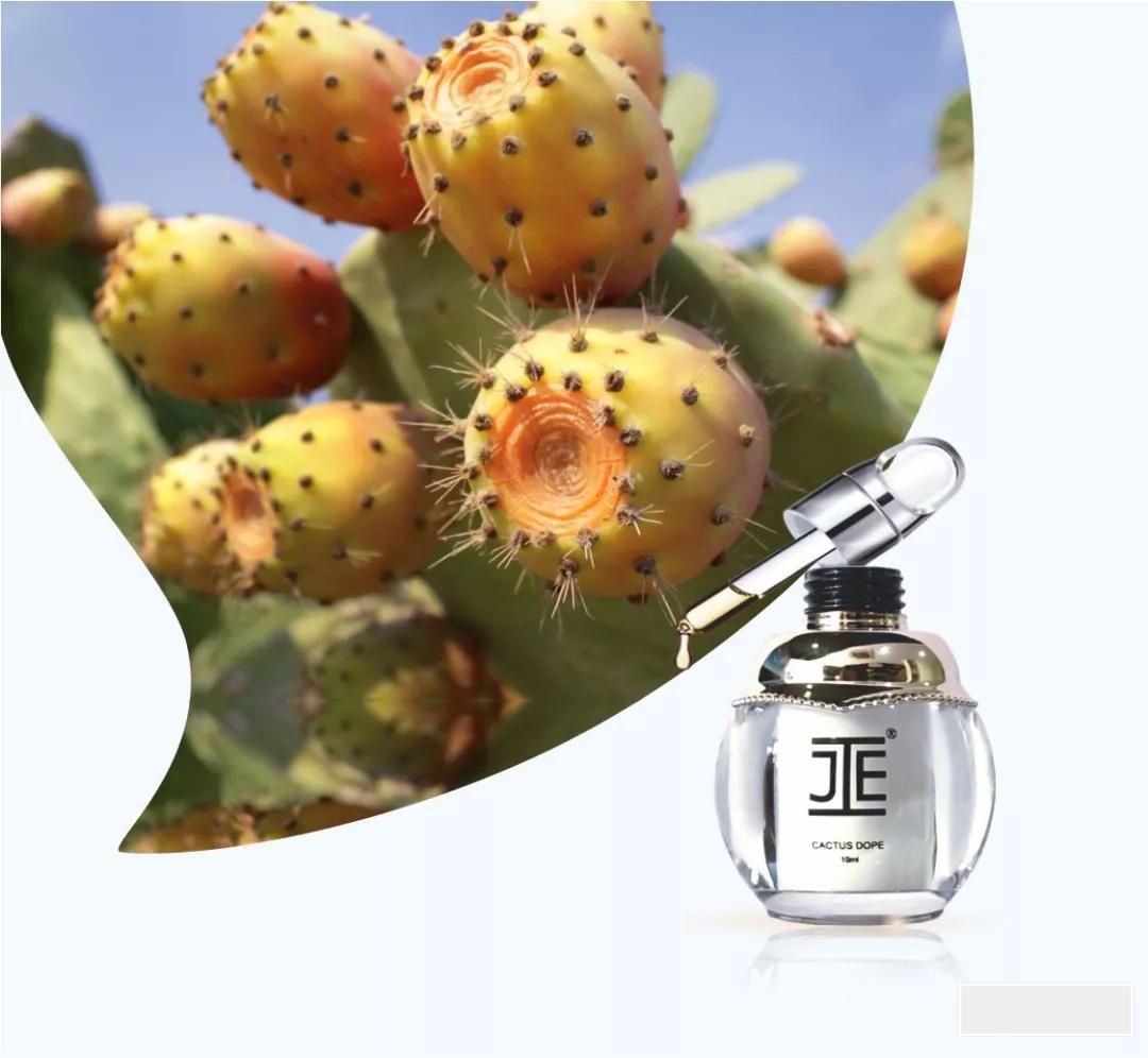 je摩洛哥仙人掌种子油精华原液10ml
