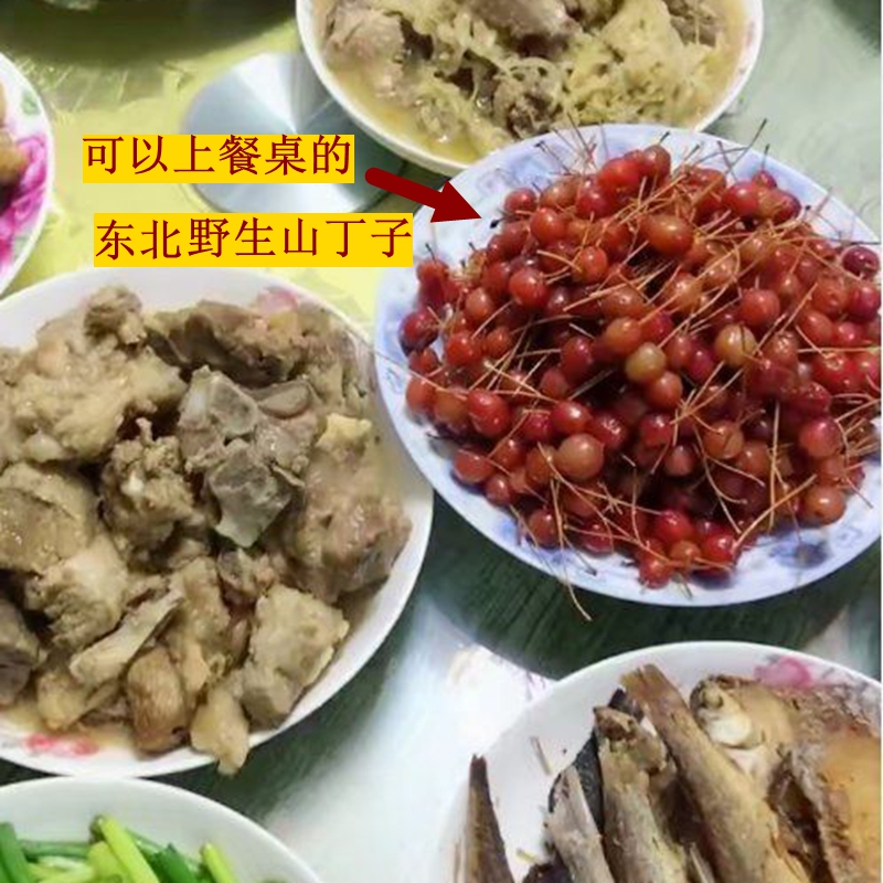 新年l婚礼 生日宴会 朋友同学聚会 故乡情山丁子野果酒 红酒