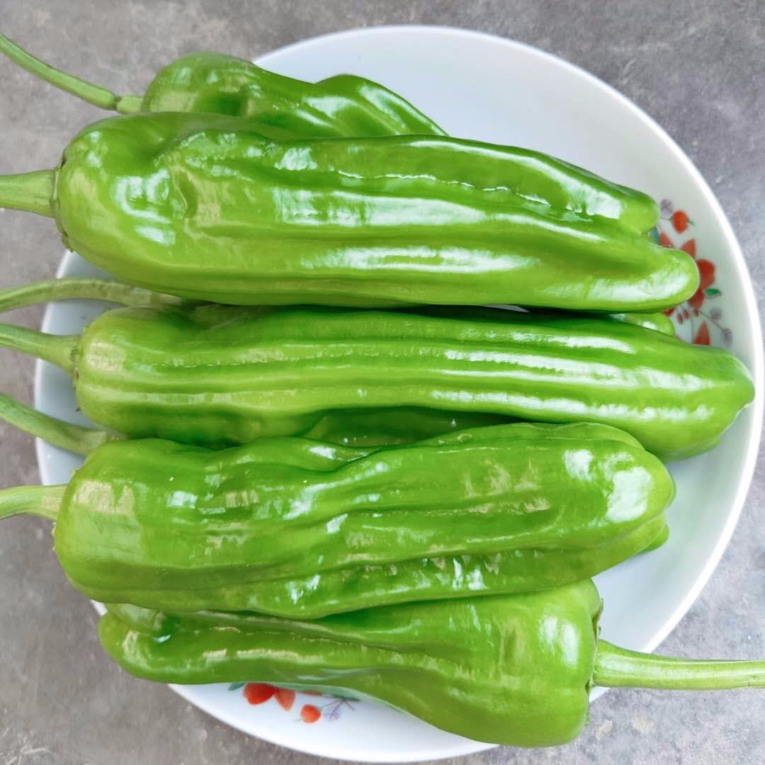 新鲜蔬菜青辣椒虎皮尖椒微辣农家产地直发5斤