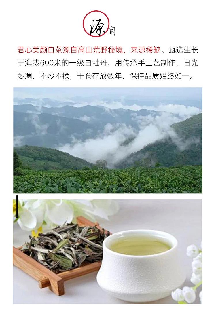 君心美颜白茶 只愿君心似我心 天雅专为女性特制白茶 福鼎白茶 白牡丹