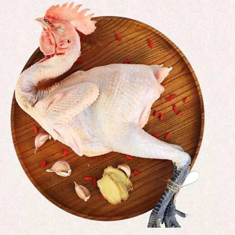 【现杀现发】散养黑腿大公鸡笨鸡土鸡草鸡柴鸡跑山鸡走地鸡