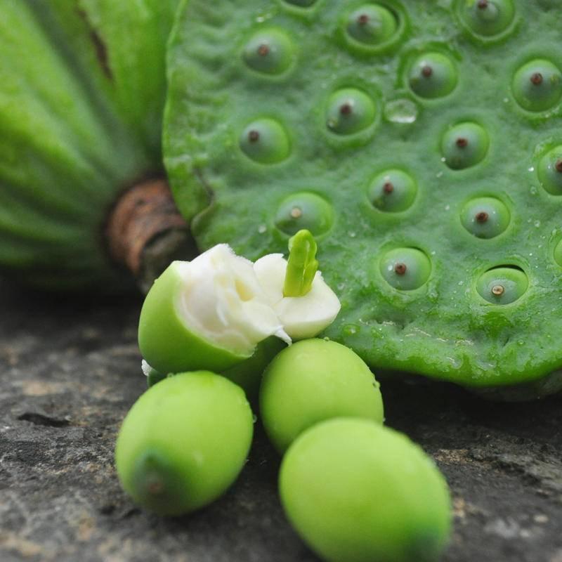 美食饮品 地方特产 > 【微山湖 通芯白莲】250g 农家自产