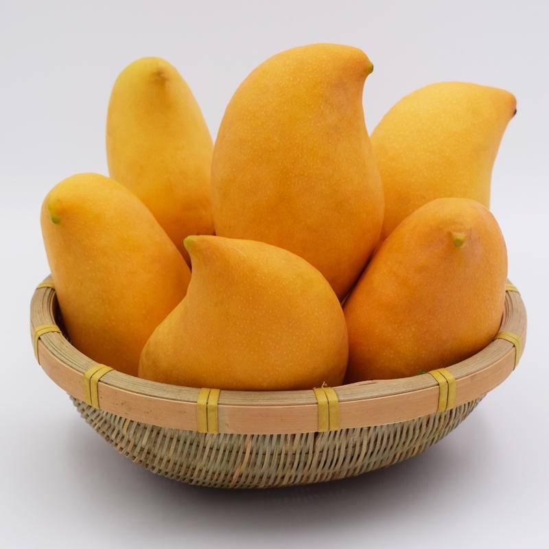 缅甸进口鹰嘴芒果斤5斤装(8个左右)新鲜水果包邮