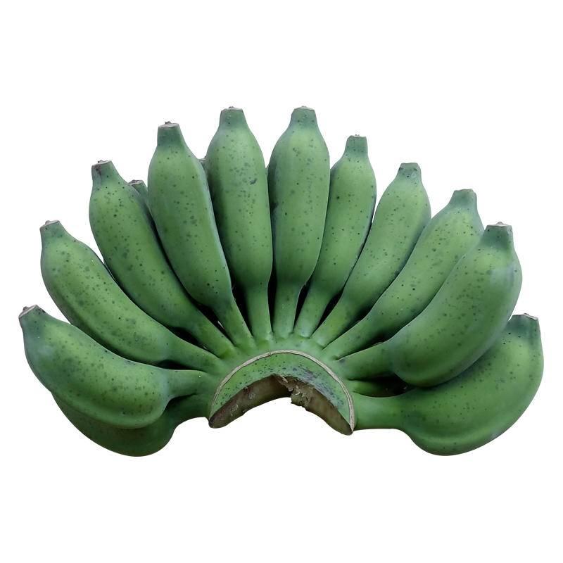 广西小米蕉鸡蕉5斤装现砍现发香蕉拇指蕉