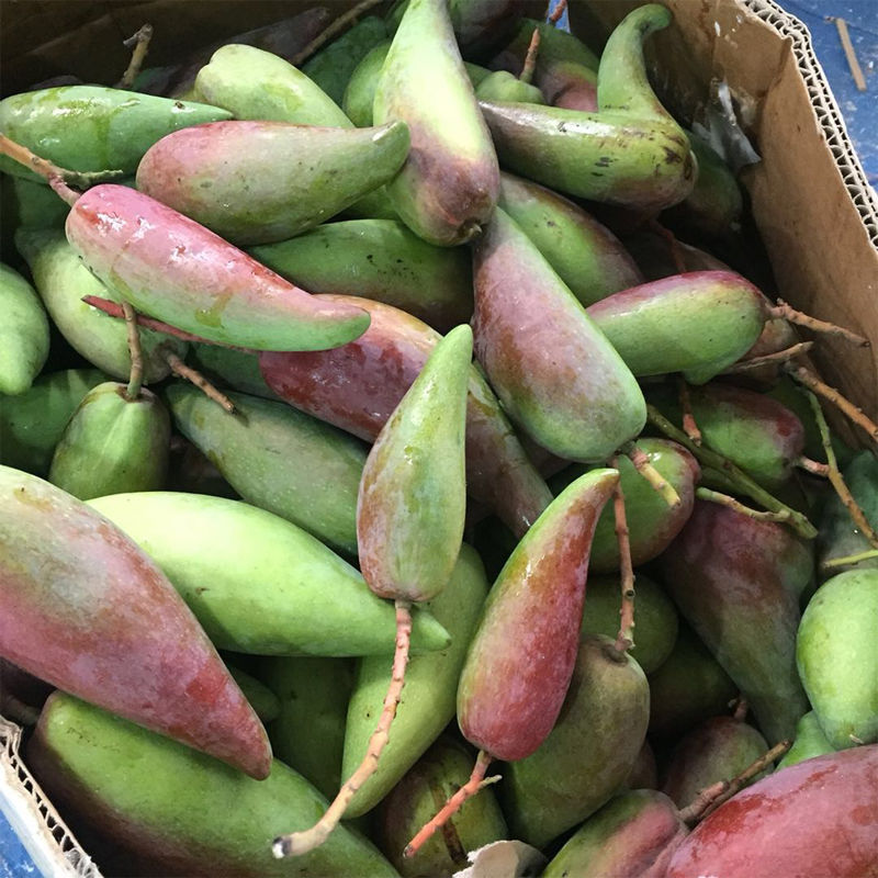 芒果海南辣椒芒3/5/8斤装(单果20-300g)新鲜水果牙签芒小贵妃芒时令-