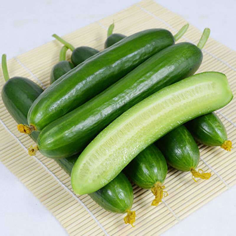 巧鲜生精选水果小黄瓜新鲜蔬菜黄瓜生吃无刺迷你黄瓜奶油小黄瓜