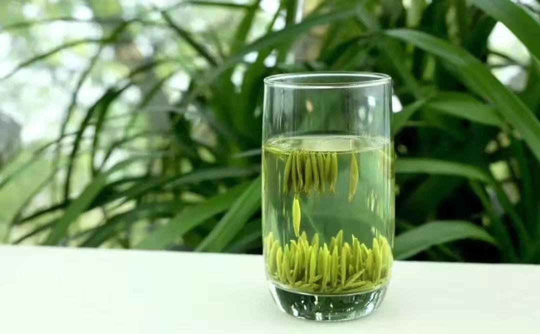 紫阳富硒绿茶一级