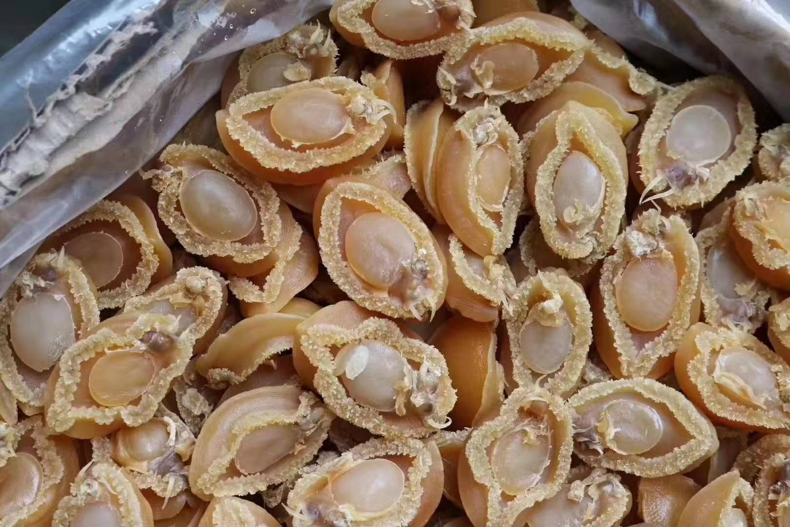 b款50头大连鲍鱼