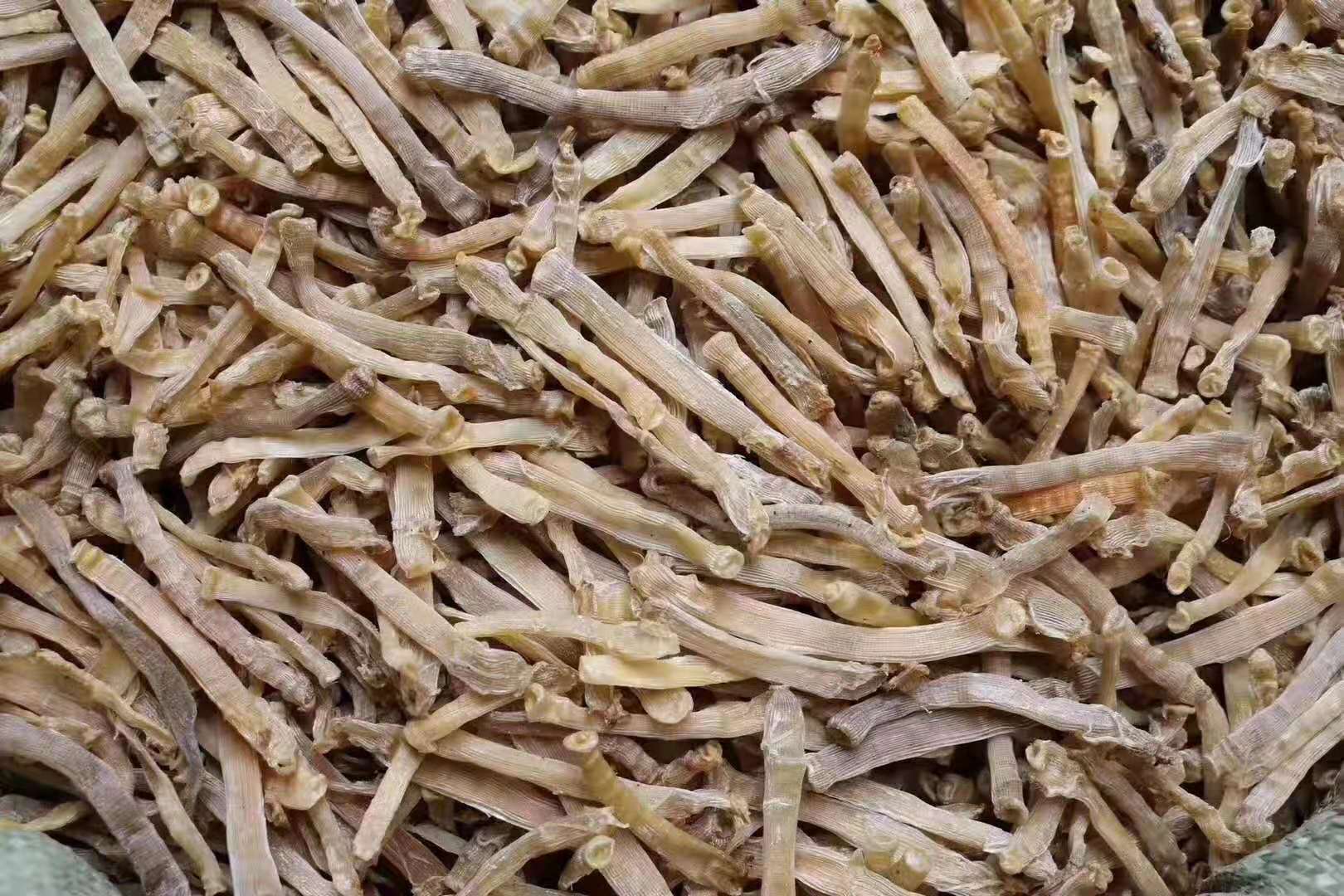 北海野生沙虫干