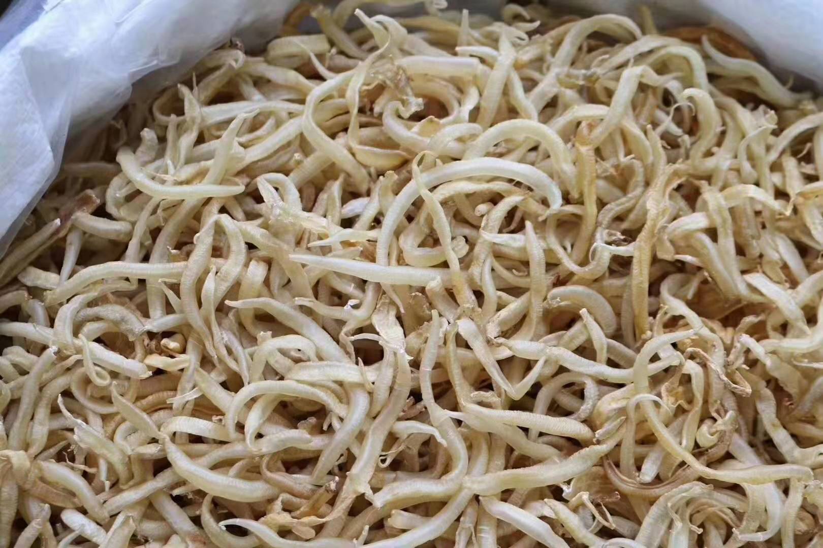 清水龙须胶(野生小鳗.