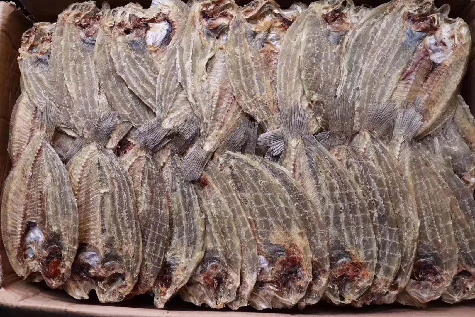 "翅脯"大地鱼干&海鲜最好大地鱼干货