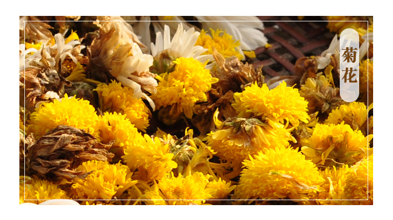 白云山胖大海金银花菊花茶罗汉果茶凉茶茶包咽喉茶炎清肺润喉泡茶