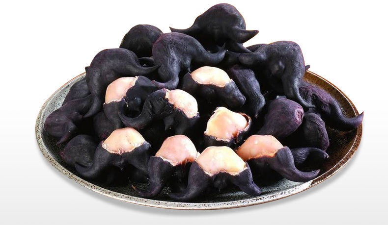 5斤精选野生老菱角现摘现发青黑菱角水栗子蔬菜非洪湖菱角【包邮