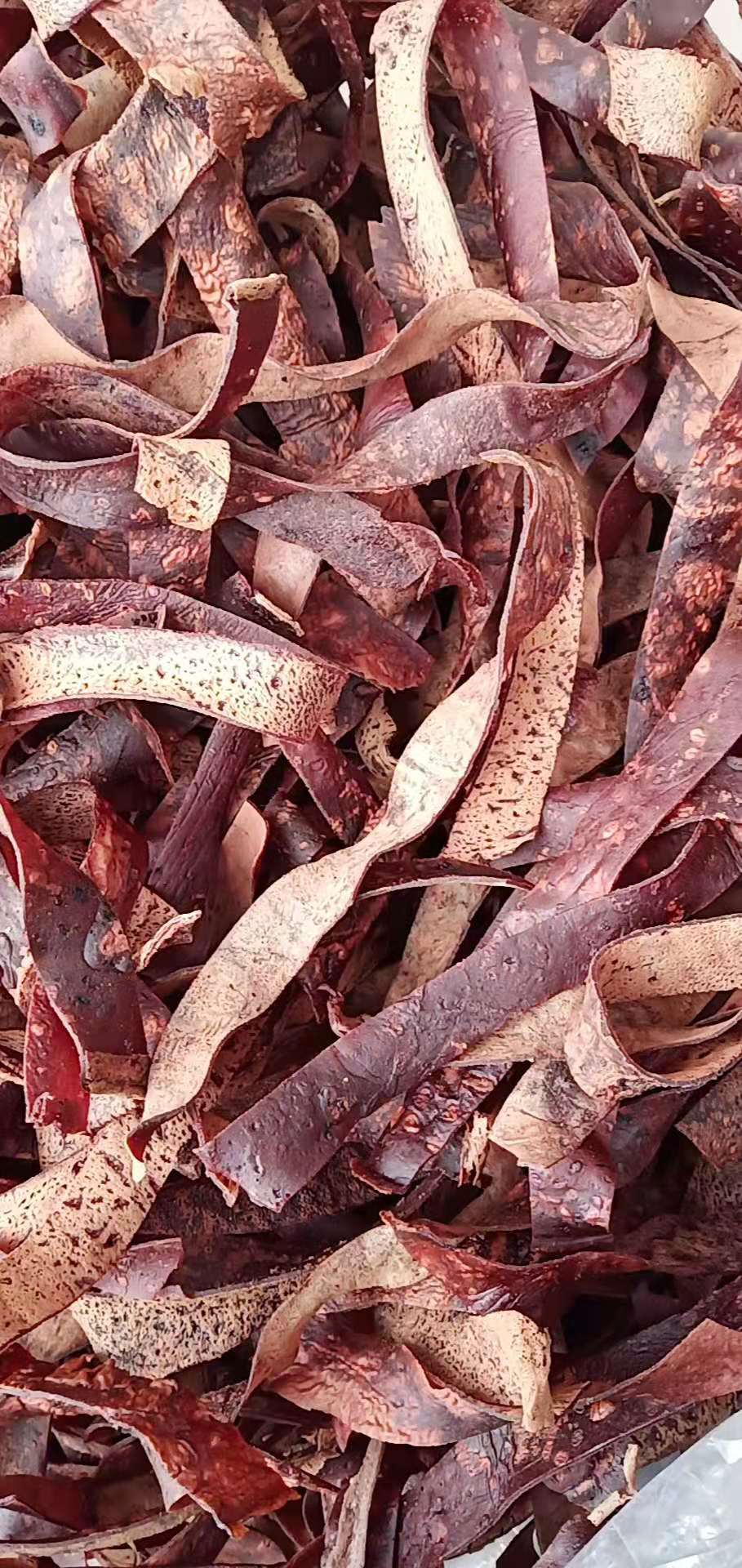 四川特产 盐亭 嫘祖故里特产 猪血皮 农家柴火灶自制土特产血皮火锅