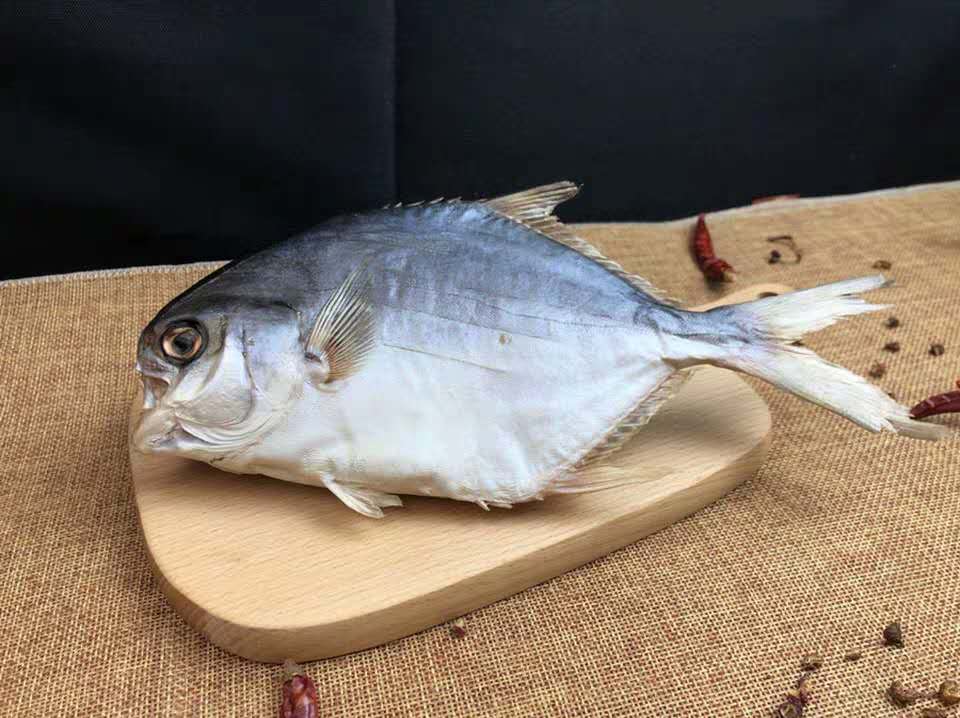 淡晒金昌鱼鱼干深海鱼干咸鱼金鲳鱼干金 仓鱼台山特产金鲳鱼片100元3