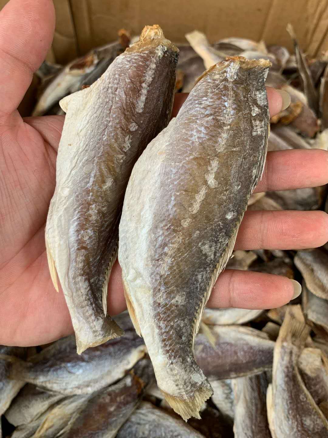 渔民自嗮台山特产 野生淡口无头三牙干三齿鱼干三牙咸鱼干海鲜干货 80