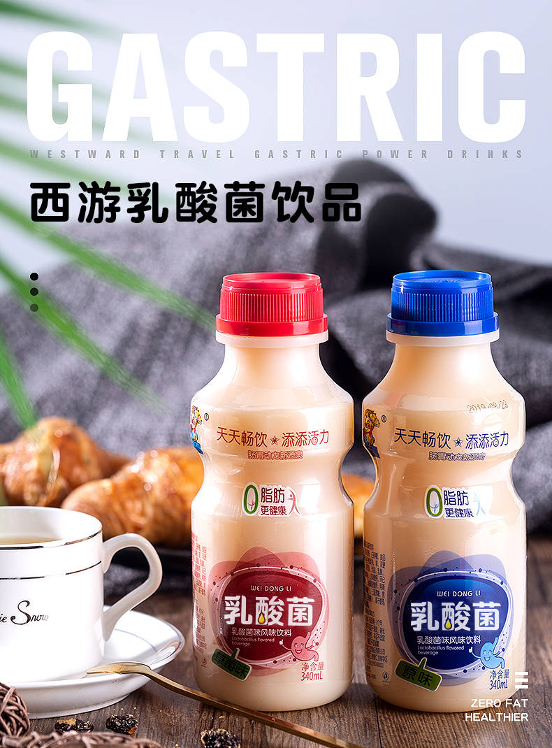 乳酸菌風味飲品340ml*12瓶胃動力酸奶兒童脫脂牛奶益生菌飲料美鼠閣