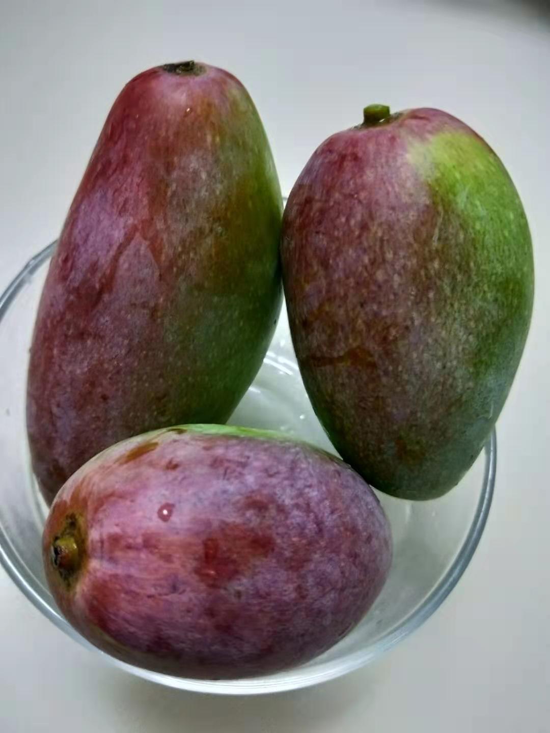 贵妃芒海南芒果10斤中大果新鲜水果包邮当季整箱青应季热带芒果