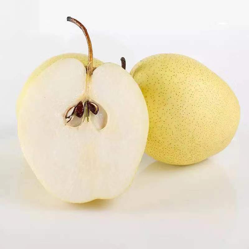 雪梨果批发整箱雪梨3斤5斤10斤雪梨子雪梨化痰止咳鸭梨子新鲜水果