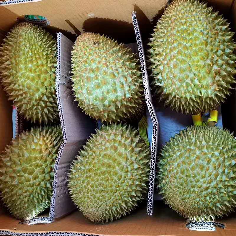 泰国进口托曼尼榴莲新鲜泰国小猫山王榴莲