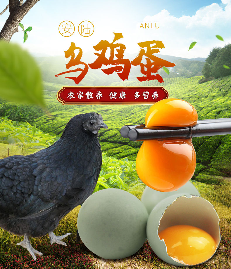 涢水乡正宗当日产散养农村土柴草笨绿壳乌鸡蛋鲜鸡蛋30枚整箱