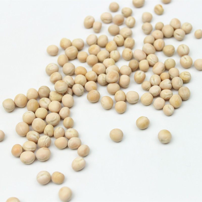 5斤白豌豆农家自种苗芽菜种子豌豆粒生的干的煮粥重庆小面配料