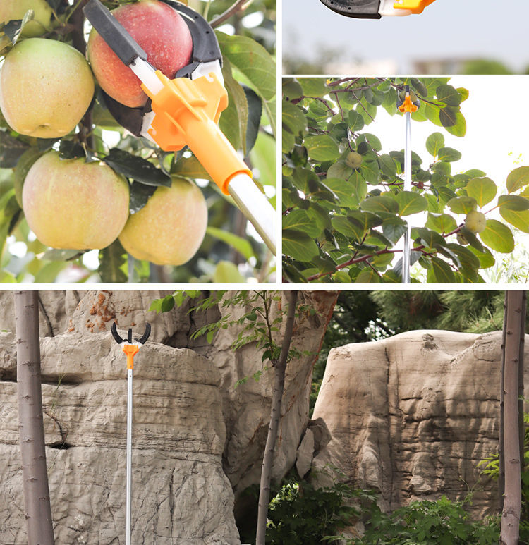 摘果器三爪多功能伸缩高空采摘神器高空梨苹果芒果无花果树采摘钩