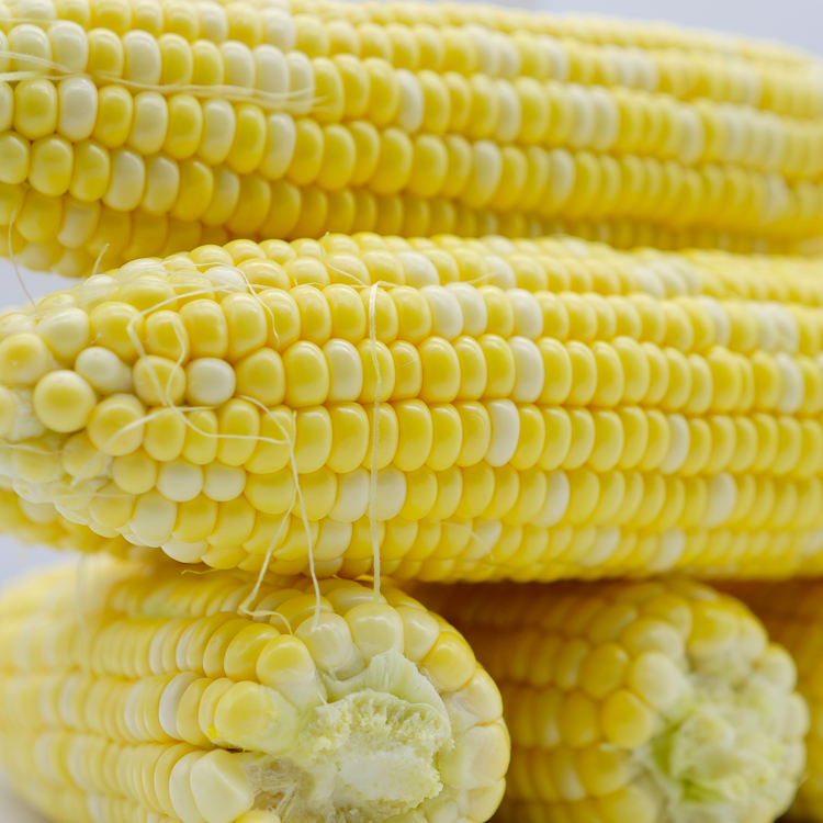 新鲜玉米棒云南双色水果玉米新鲜蔬菜当季农家带皮现摘现发甜玉米
