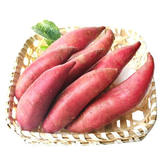 【精选沙地西瓜红蜜薯】新鲜红薯沙地蜜薯山芋地瓜