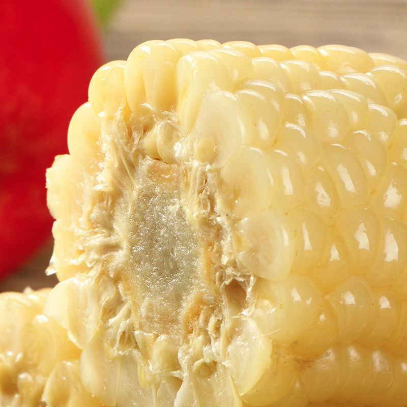 张家口纯天然白糯玉米棒粘玉米粒非转基因新鲜粗粮代餐4根包邮