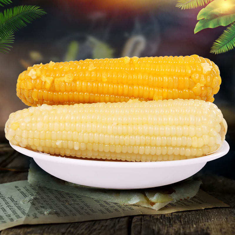 东北特产新鲜黄糯玉米棒10根微甜白糯粘玉米棒真空包装8根4根早餐