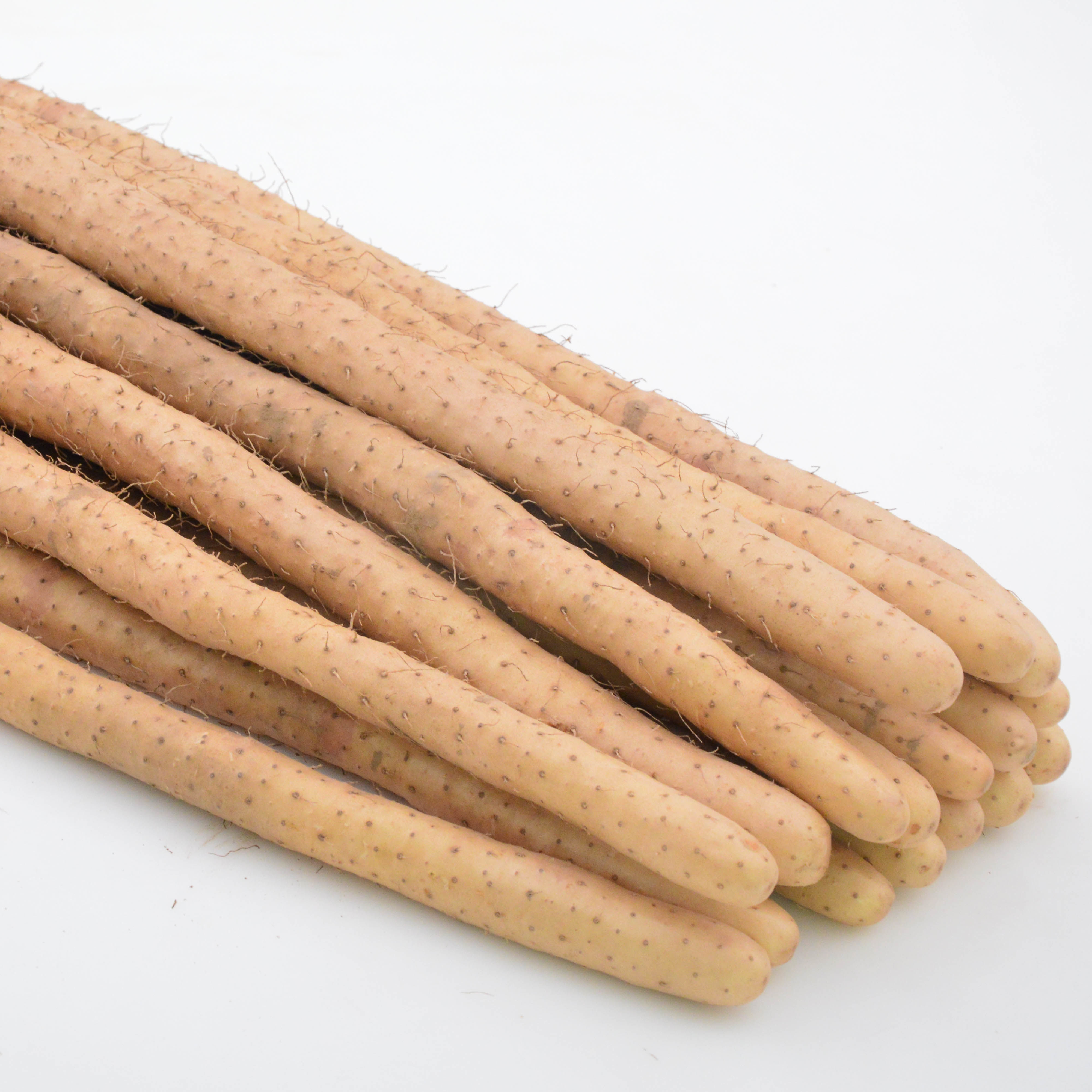 粉糯正宗铁棍山药淮山药小白嘴山药垆土铁棍多规格可选新鲜蔬菜