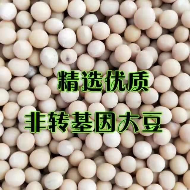 吉林九台非转基因纯熟笨榨豆油5l包邮