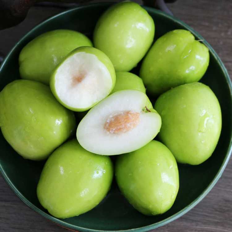 台湾牛奶枣大青枣5斤装贵妃密枣新鲜水果3斤单果50-150g