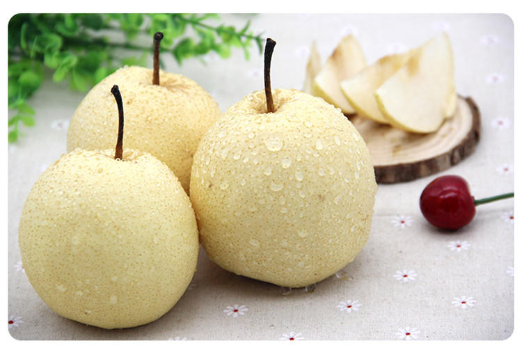 【晋南农场】10斤山西蜜梨酥梨当季水果