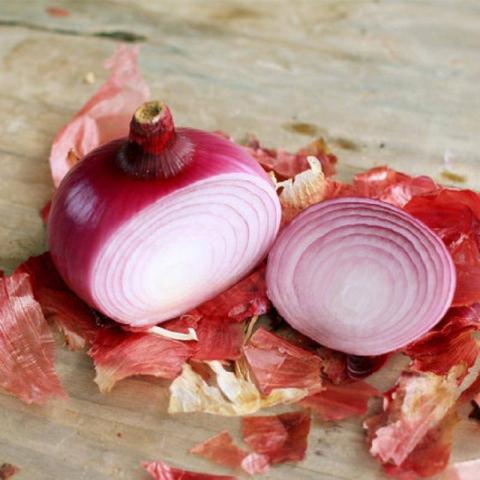 现摘先挖新鲜红皮洋葱5斤