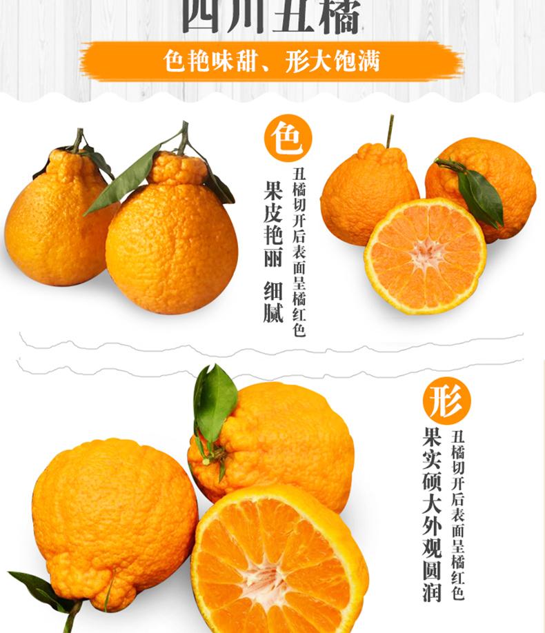 四川丑橘不知火丑柑新鲜桔子水果10斤耙耙柑现摘大果丑八怪丑橘子