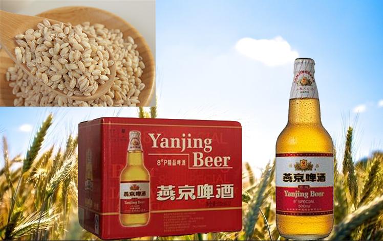 珍选捞汁包邮 800ml*2瓶装 捞蔬菜捞海鲜拌凉菜原味拌汁 破损包赔