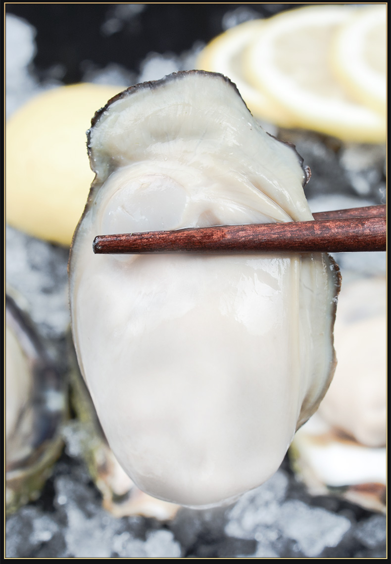 新鲜现挖青岛海蛎子大鲜活生蚝带壳牡蛎海产品贝类海鲜水产4斤