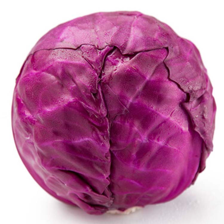 河南新鲜蔬菜沙拉菜有机紫甘蓝紫椰菜5斤包邮紫包菜卷心菜红椰菜