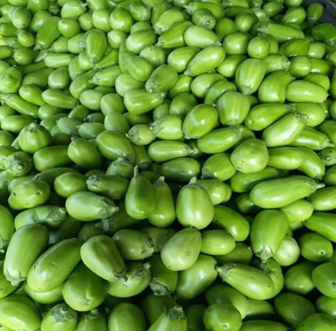 新鲜绿茄子河南特产青茄子新鲜蔬菜农家自种园茄子三斤/五斤包邮