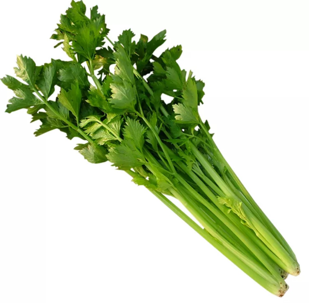 包邮山东特产农家自种现拔新鲜西芹菜5斤3斤1斤包邮青菜蔬菜香芹绿色